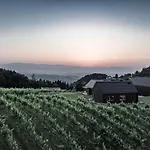 Weingut & Winzerhaeuser Skringer 펜션 루트스카치