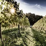 Weingut & Winzerhaeuser Skringer Casa de Férias Leutschach