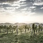Casa de Férias Weingut & Winzerhaeuser Skringer