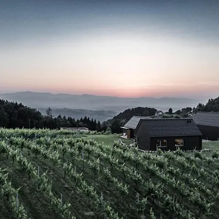 Winzerhäuser J&a Skringer Ferienhaus Leutschach