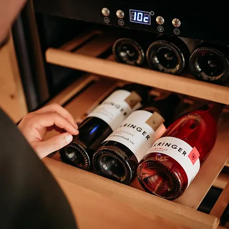 Winzerhaeuser Skringer Wohnen Im Weingarten Tatil Evi *