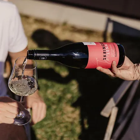 Winzerhaeuser Skringer Wohnen Im Weingarten Tatil Evi