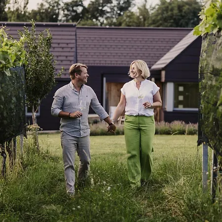 Winzerhaeuser Skringer Wohnen Im Weingarten * Leutschach