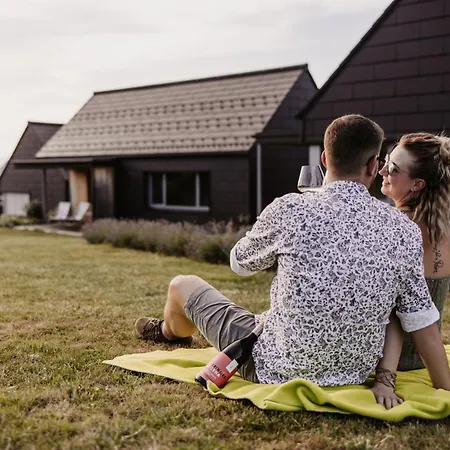 Weingut & Winzerhaeuser Skringer * ليوتسشاخ