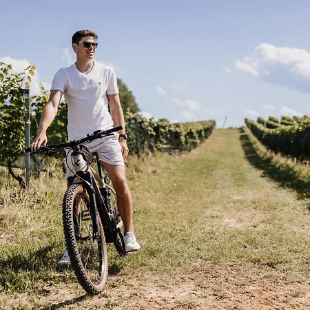 Feriehus Weingut & Winzerhaeuser Skringer *