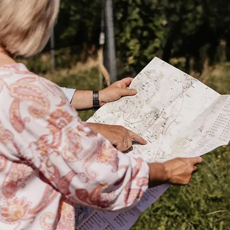 Winzerhaeuser Skringer Wohnen Im Weingarten *
