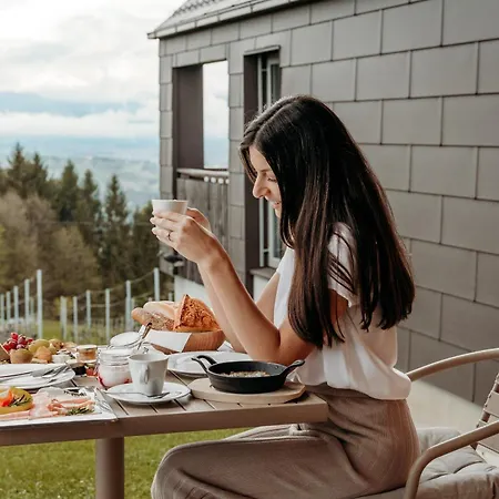 Winzerhaeuser Skringer Wohnen Im Weingarten Tatil Evi