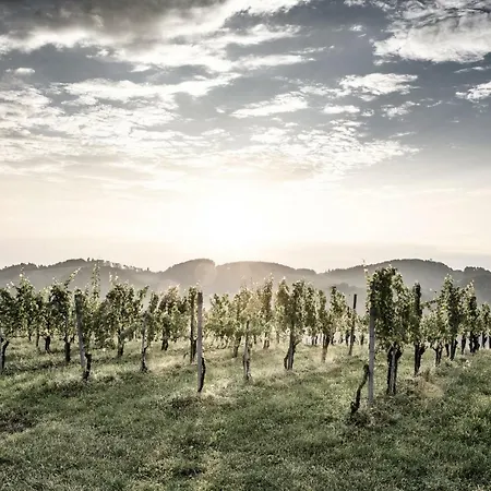 펜션 Weingut & Winzerhaeuser Skringer