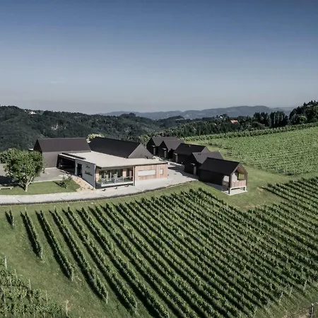 別荘 Winzerhaeuser Skringer Wohnen Im Weingarten