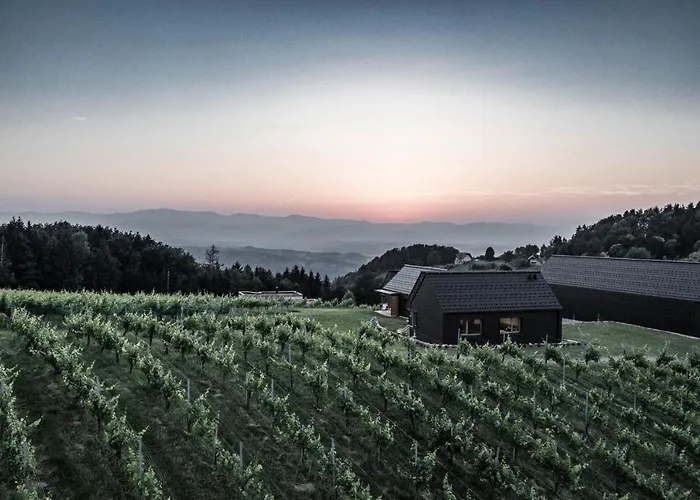 Weingut & Winzerhaeuser Skringer بيت للعطل ليوتسشاخ