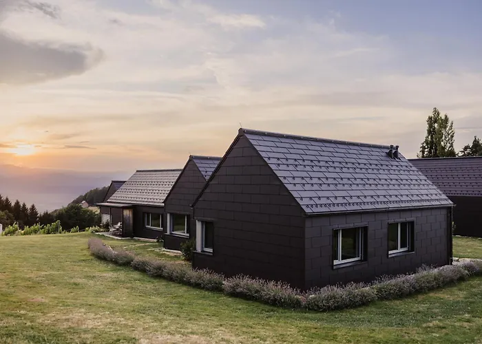 Weingut & Winzerhaeuser Skringer بيت للعطل ليوتسشاخ