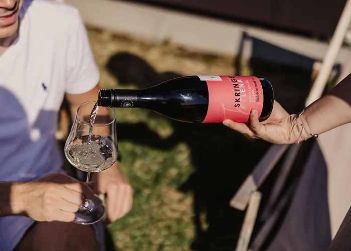 Weingut & Winzerhaeuser Skringer Vakantiehuis