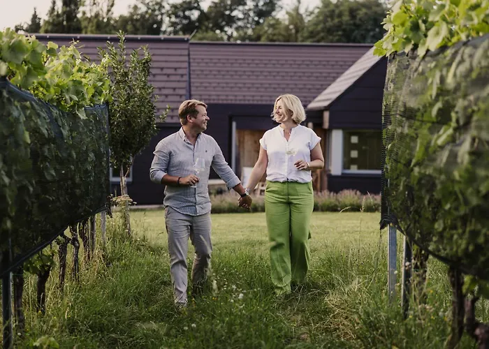 Weingut & Winzerhaeuser Skringer * ليوتسشاخ