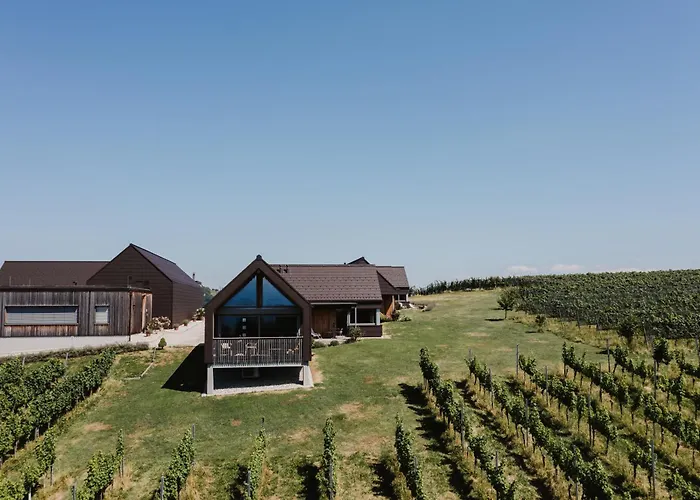 Vakantiehuis Weingut & Winzerhaeuser Skringer