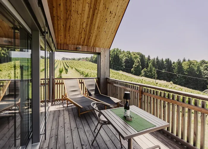 Weingut & Winzerhaeuser Skringer بيت للعطل