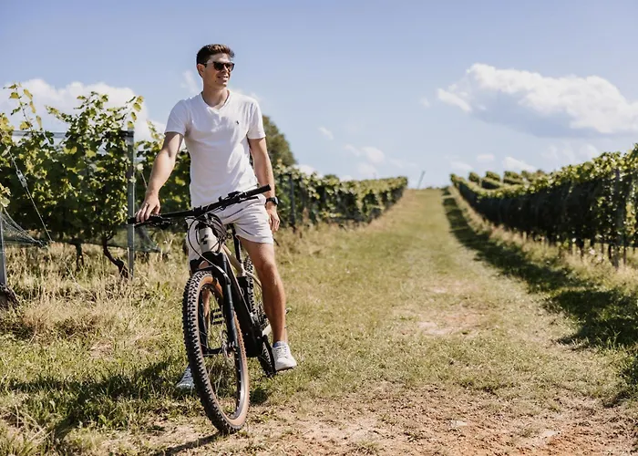 Vakantiehuis Weingut & Winzerhaeuser Skringer *