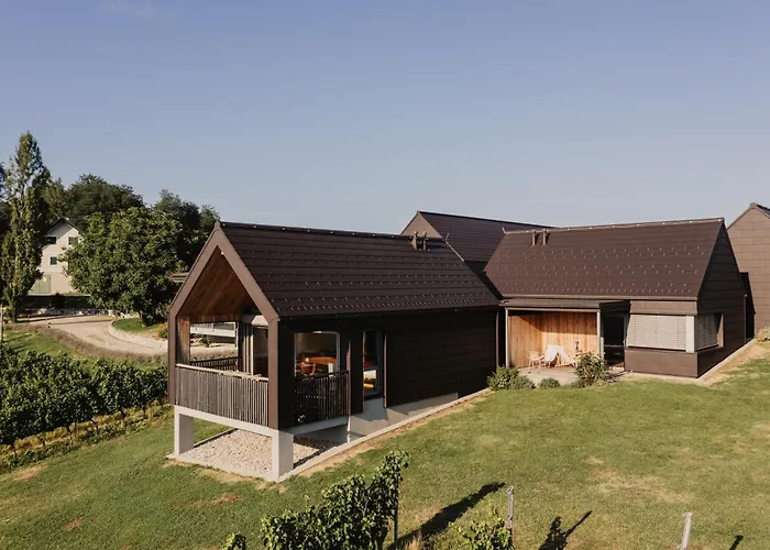 Vakantiehuis Weingut & Winzerhaeuser Skringer *