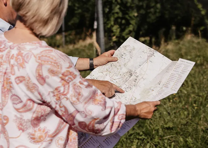 Weingut & Winzerhaeuser Skringer *