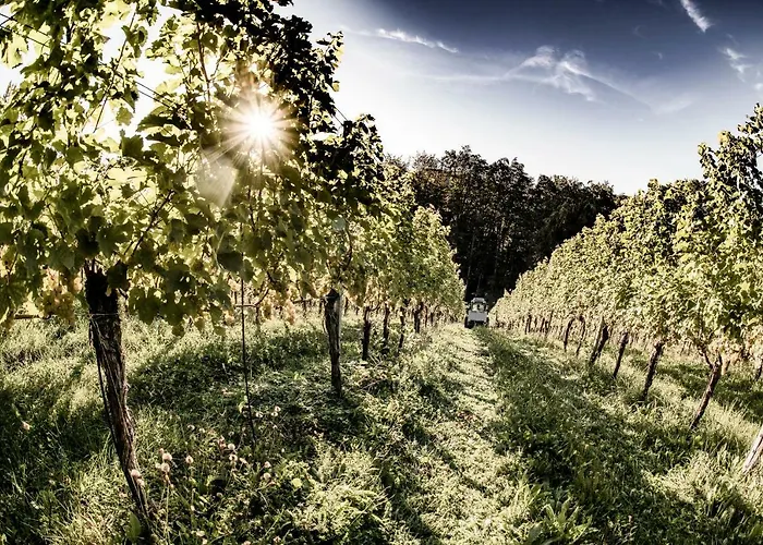 Weingut & Winzerhaeuser Skringer Casa de Férias Leutschach