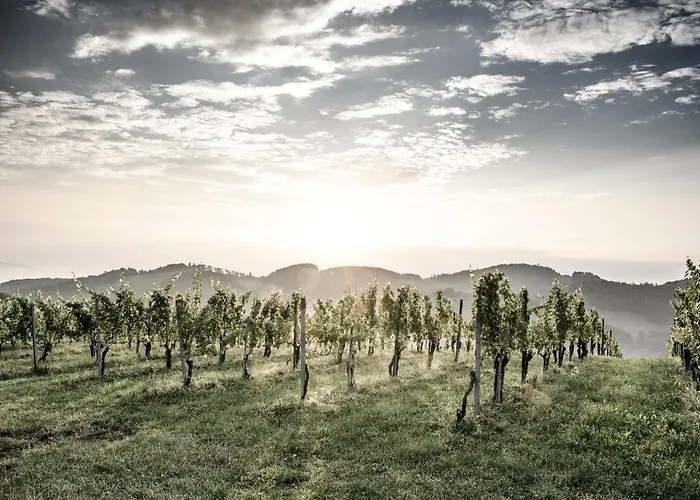 Vakantiehuis Weingut & Winzerhaeuser Skringer