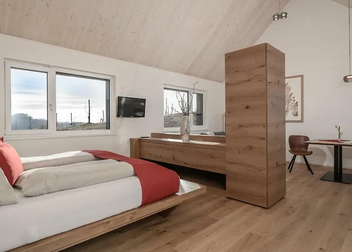 Vakantiehuis Weingut & Winzerhaeuser Skringer