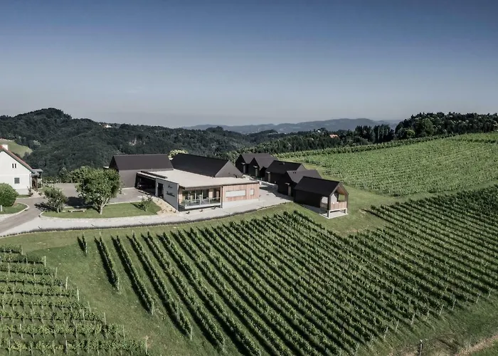 Casa de Férias Weingut & Winzerhaeuser Skringer
