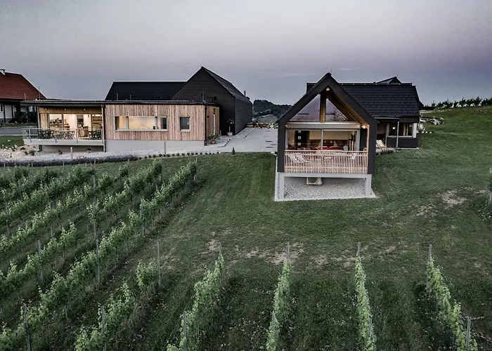 Vakantiehuis Weingut & Winzerhaeuser Skringer *