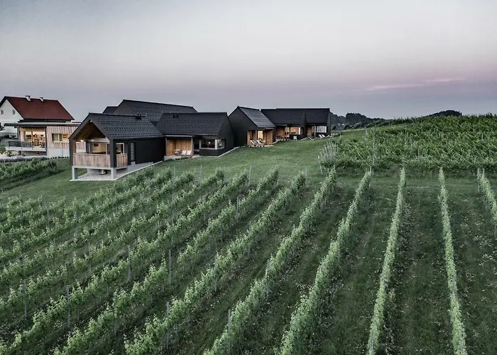 Vakantiehuis Weingut & Winzerhaeuser Skringer *